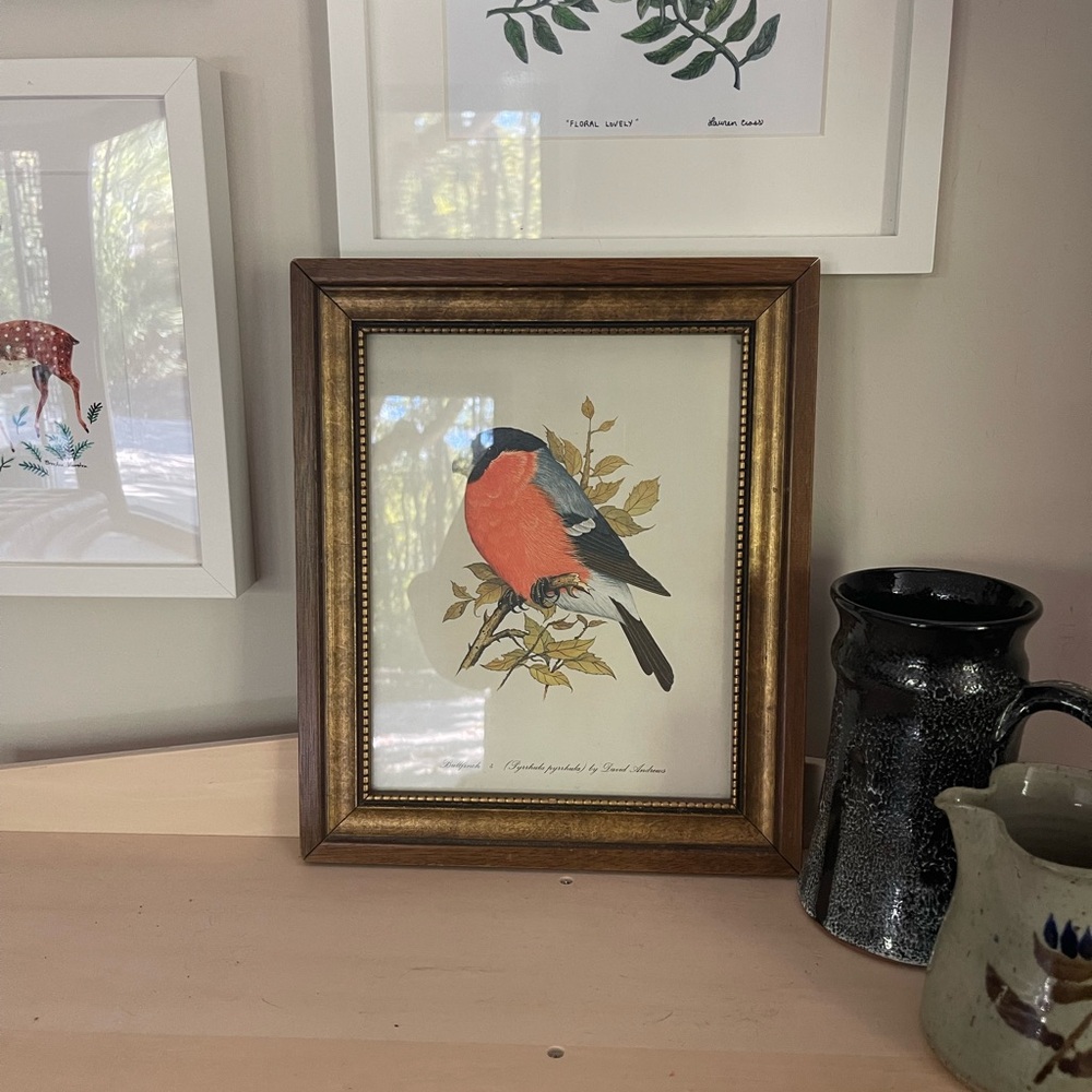 Vintage framed bird print